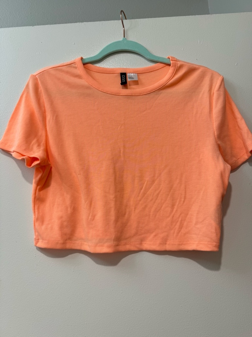 H&M Neon Coral Ribbed Crop Top